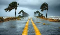 Image for VIN, License Plate & Vehicle History Reports